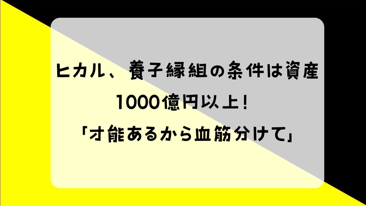 ヒカル 養子縁組