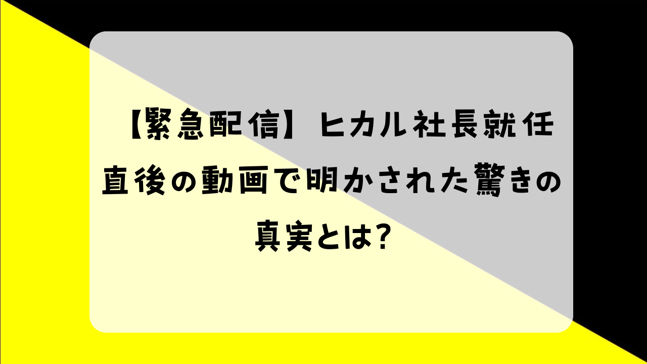 ヒカル 就任直後